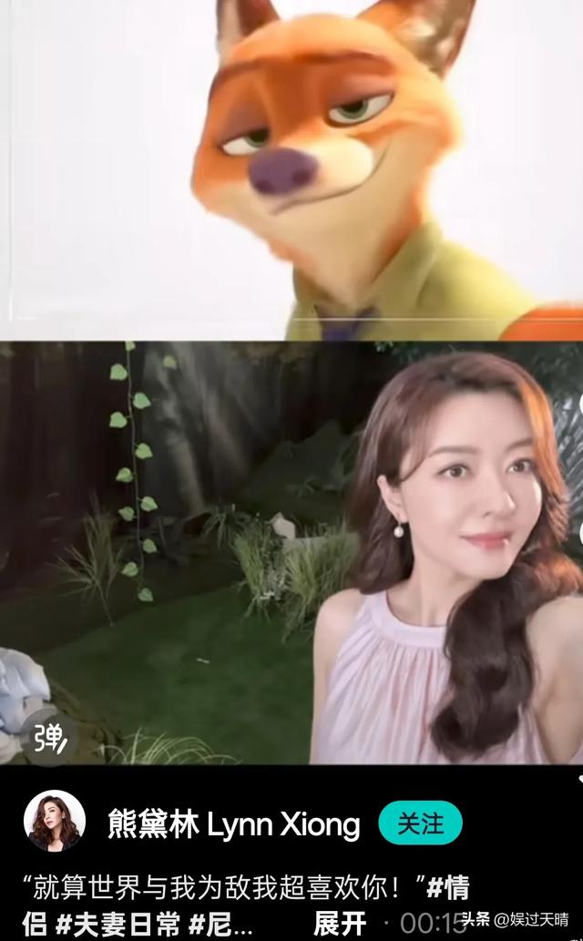 17.jpeg