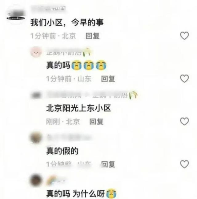 15.png
