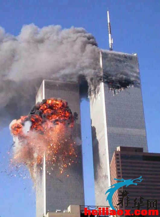6.jpeg