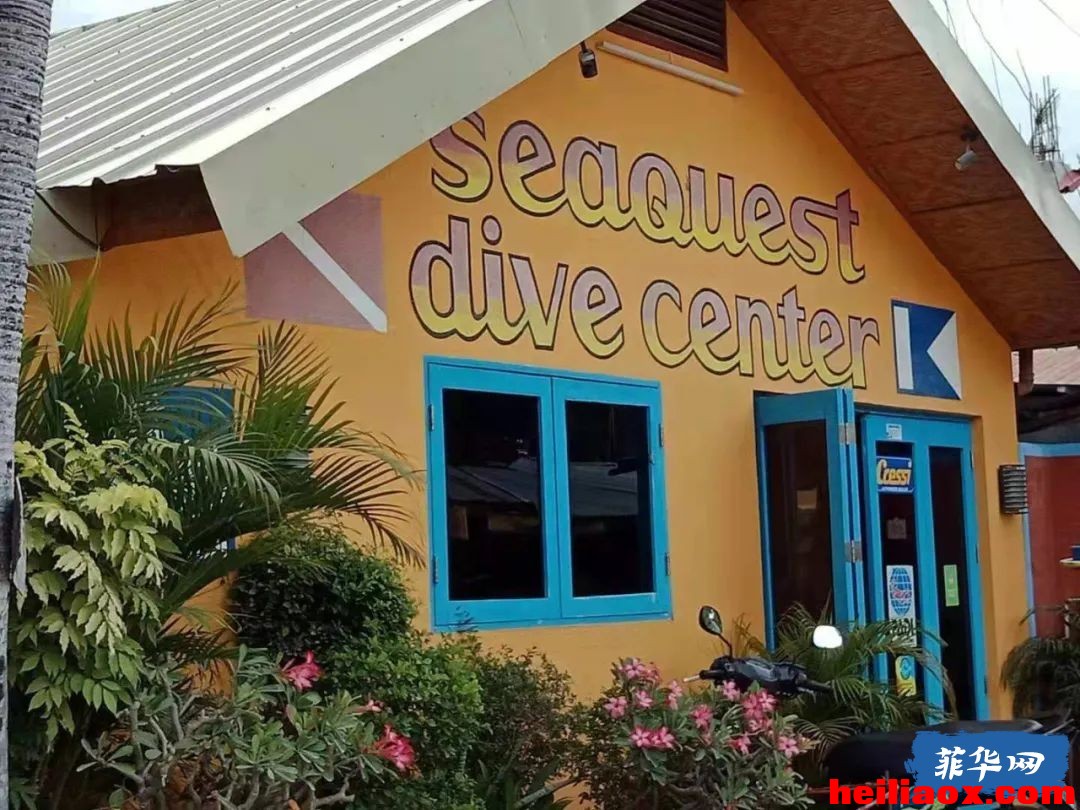 7.jpeg