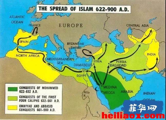 2.jpeg
