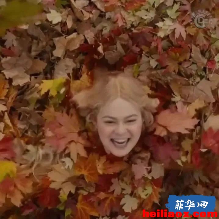 3.jpeg