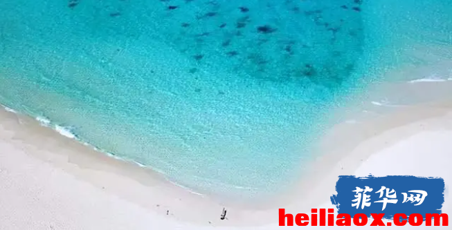 8.png