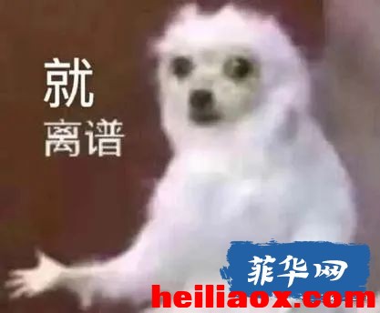5.jpeg