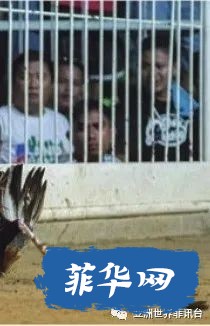 3.jpeg
