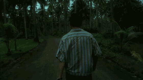 11.gif