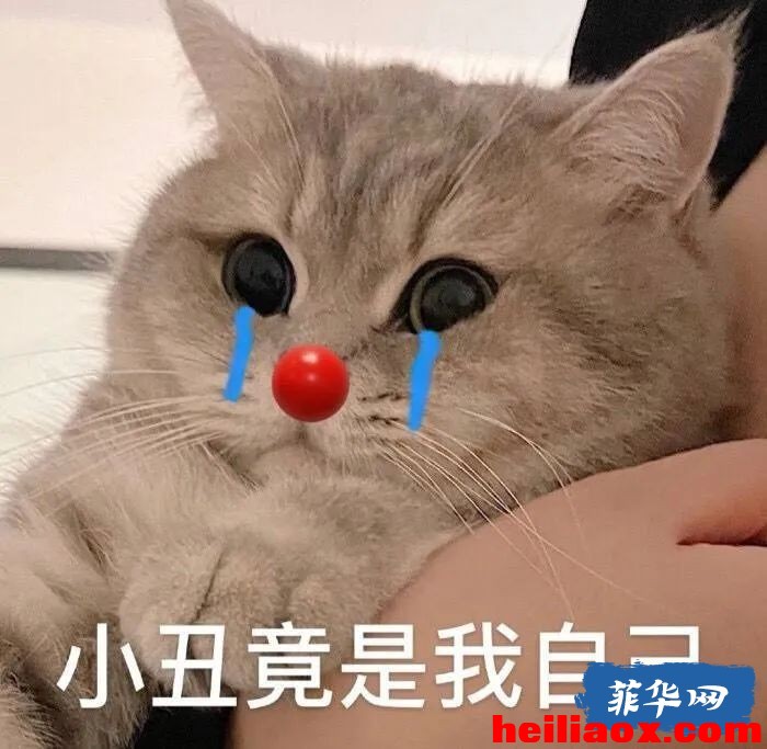 3.jpeg