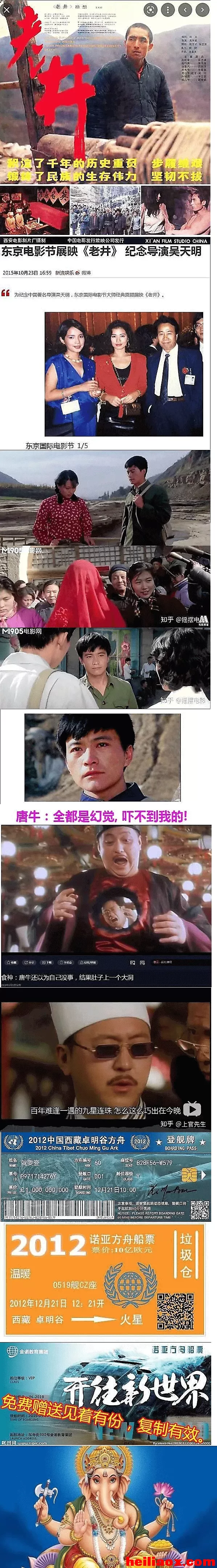 4.webp