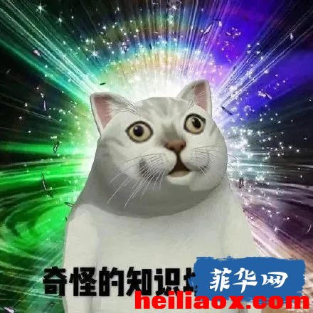 7.jpeg
