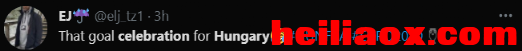 14.png