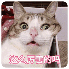 2.gif