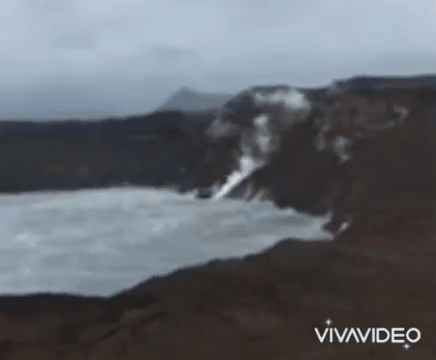 12.gif