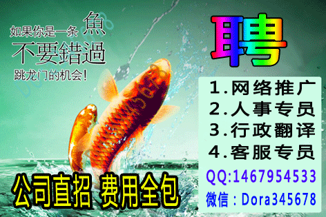 1.gif