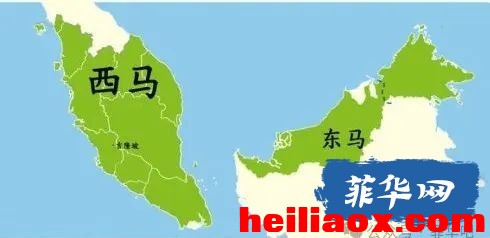 3.jpeg