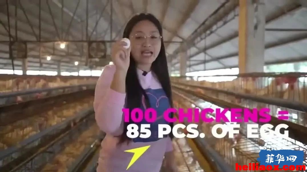 1.jpeg